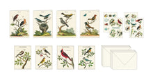 Load image into Gallery viewer, Stationery Set | Birds