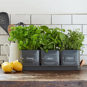 Herb Pots | Charcoal