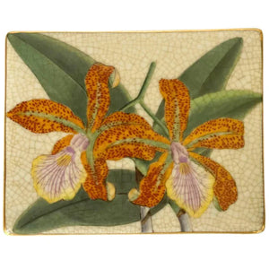 Jungla Trinket Box | Cattleya