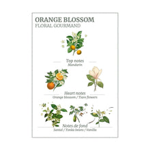 Load image into Gallery viewer, Orange Blossom Marseille Liquid Soap