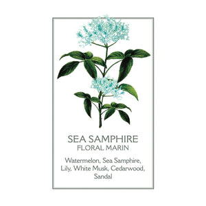 Sea Fennel/Samphire Marseille Liquid Soap
