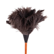 Load image into Gallery viewer, Ostrich Feather Duster | 50cm Brown
