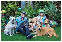 Load image into Gallery viewer, Advanced Pets