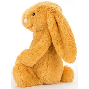 Bashful Saffron Bunny