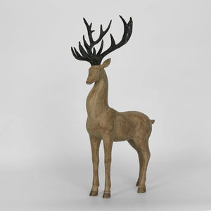 Standing Deer