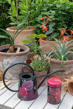 Load image into Gallery viewer, British Bloom Indoor Watering Can