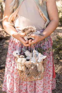 Mini Spike the Echidna Rattle