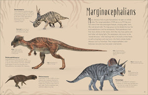 Dinosaurs & Other Prehistoric Life