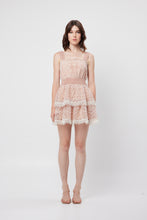 Load image into Gallery viewer, Fixative Dress l Blush