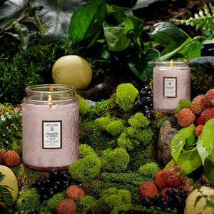 Panjoree Lychee Candle l 100Hrs