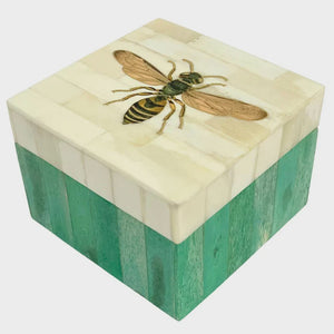 Paradiso Box | Abeja