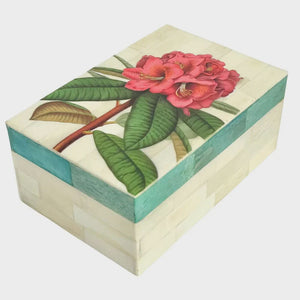 Paradiso Box | Rhododenndron